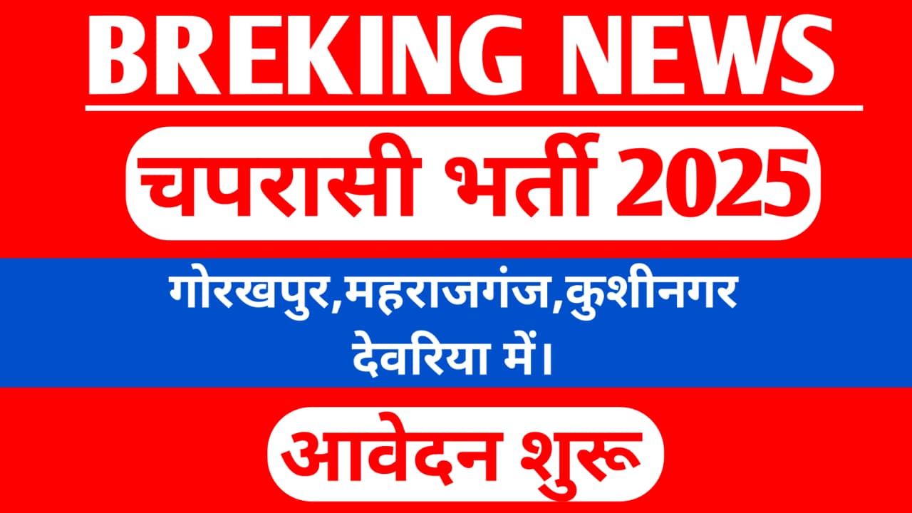 Watch Man bharti 2025